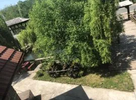 Pensiunea LA Pintea Haiducu