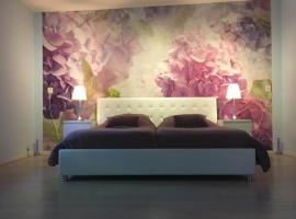 Brissago, Hotel in Nes