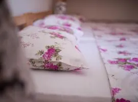 Hostel Larisa