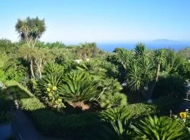 villa damecuta B&B