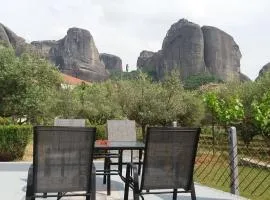 Olive Grove