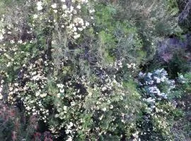 B&B Il Bambù