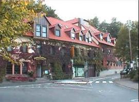 Hotel "Zur Brezel", hotel in Alzenau in Unterfranken