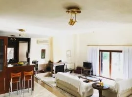 Bright & Spacious Seaview Villa
