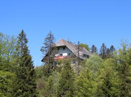 Boutique Hotel Kokoschinski, Hotel in Feldberg (Schwarzwald)