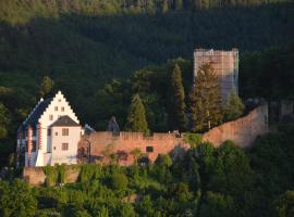 Panorama-Blick Miltenberg, 3 Pers., zentr., am Main, Terrasse, Bootverleih, P, 4-Sterne-Hotel in Miltenberg