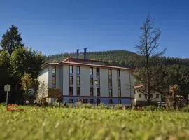 Hotel Balneario Areatza Nº 01224