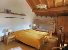 Ul Rüstic a Monte