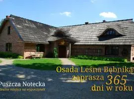 Bębnikąt Osada Leśna Puszcza Notecka