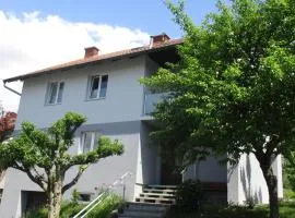 Wohnung in Haiding/Wels
