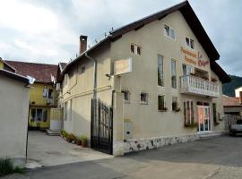 Pensiunea La Palaguta, hotel in Baia Mare