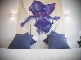 My Monopoli - Casa dei Fiori "Iris" Cala Paradiso