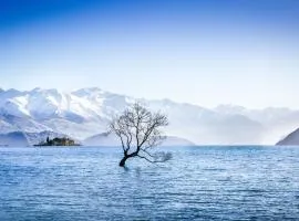 Wanaka Tree & Lake House