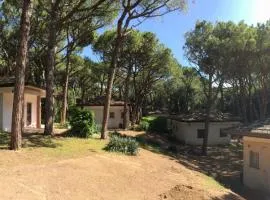 Villaggio Arco