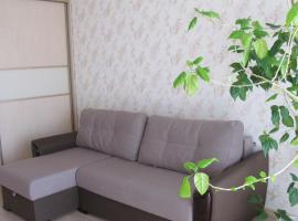 Apartment "Ostrova", apartment sa Kryzhanivka