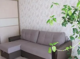 Apartment "Ostrova"