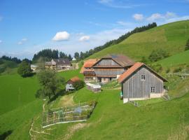 Apartment Ober-Tiefenbühl, hotel cerca de Seilbahn Gruebli, Hergiswil