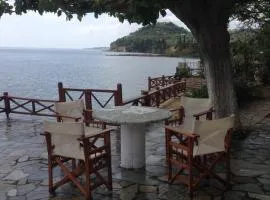 Villa Nelly by the sea
