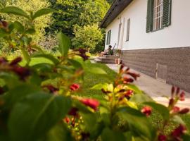 Ferienhaus Vogeljager, hotel v mestu Leutschach