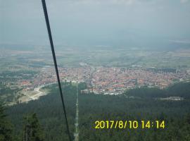 Bansko-spa-holidays, hotel em Ruse