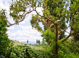 Tuscan Sun Villa, Wellnesshotel in Florenz