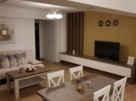 apartament 2 camere ultracentral