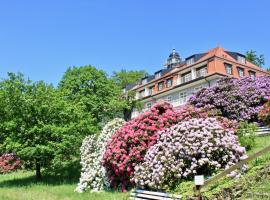 Ferienwohnung Natur und Kunst, hotel de lux din Dresda