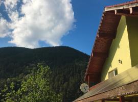 Green House, hotel a prop de Trecătoarea Lupilor ski slope, a Gura Rîului