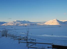 Brunnholl Country Guesthouse, hotel em Höfn