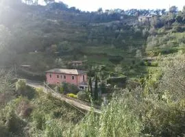 Casa Daniela