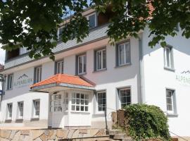 Landgasthof Alpenblick an der Wutachschlucht S&uuml;dschwarzwald, hotel sa L&ouml;ffingen