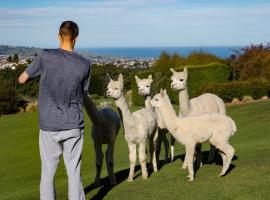 Alpaca Farmstay, holiday home in Dunedin