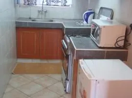Ash house 2
