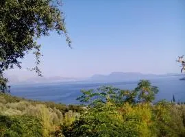 Ellenas- studios
