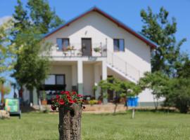 Pensiunea Palaghia, homestay in Jurilovca