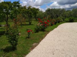 Casa Vacanze Le Rose, hotel di Ariccia