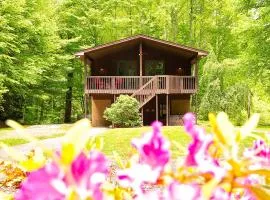 The Historic Ol Gun Range Cabin
