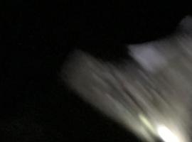 Hotel alamar, Hotel in Tapantí