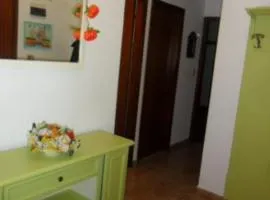 La zucca violina