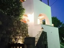 Villa with majestic view