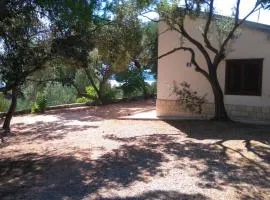 House Zlatko
