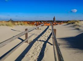 B&B Binisa, bolig ved stranden i Westkapelle