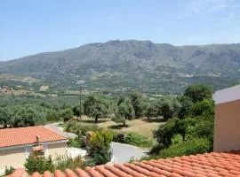 Amari Krini House