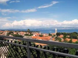 Apartments Raic