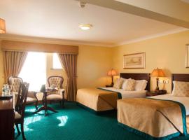 Meadow Court Hotel, hotell i Loughrea