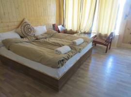 Laksdup Guest House, hotel poblíž Letiště Kushok Bakula Rimpochee - IXL, 
