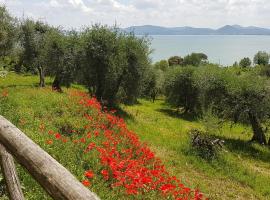 Antica casa di famiglia, casa de hóspedes em Castiglione del Lago