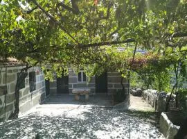 Quinta do Sol - Soutelo