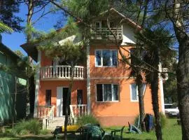 Villa Shekvetili
