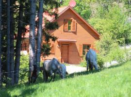 Sternen-Chalet, self catering accommodation in Grassendorf